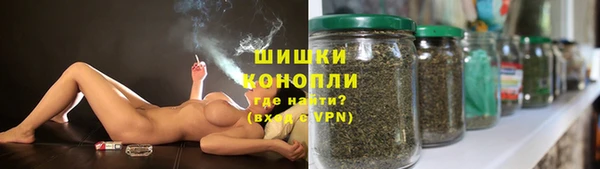 сатива Абинск