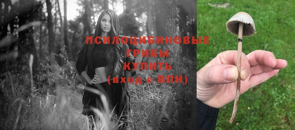 сатива Абинск