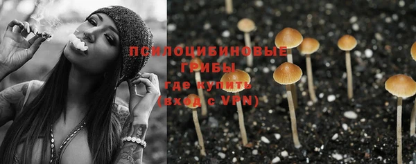 сатива Абинск