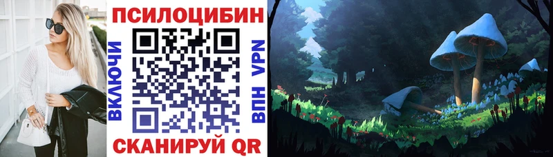 Псилоцибиновые грибы Psilocybine cubensis Белая Калитва