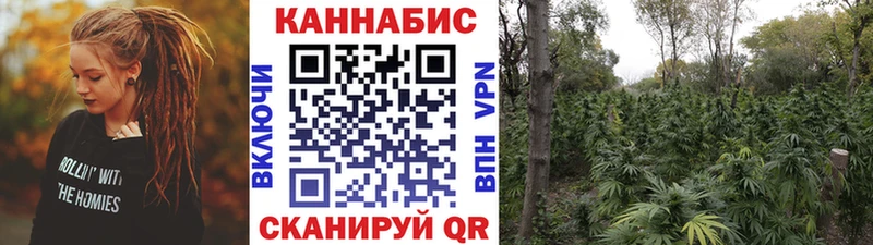 Бошки Шишки VHQ  Белая Калитва 